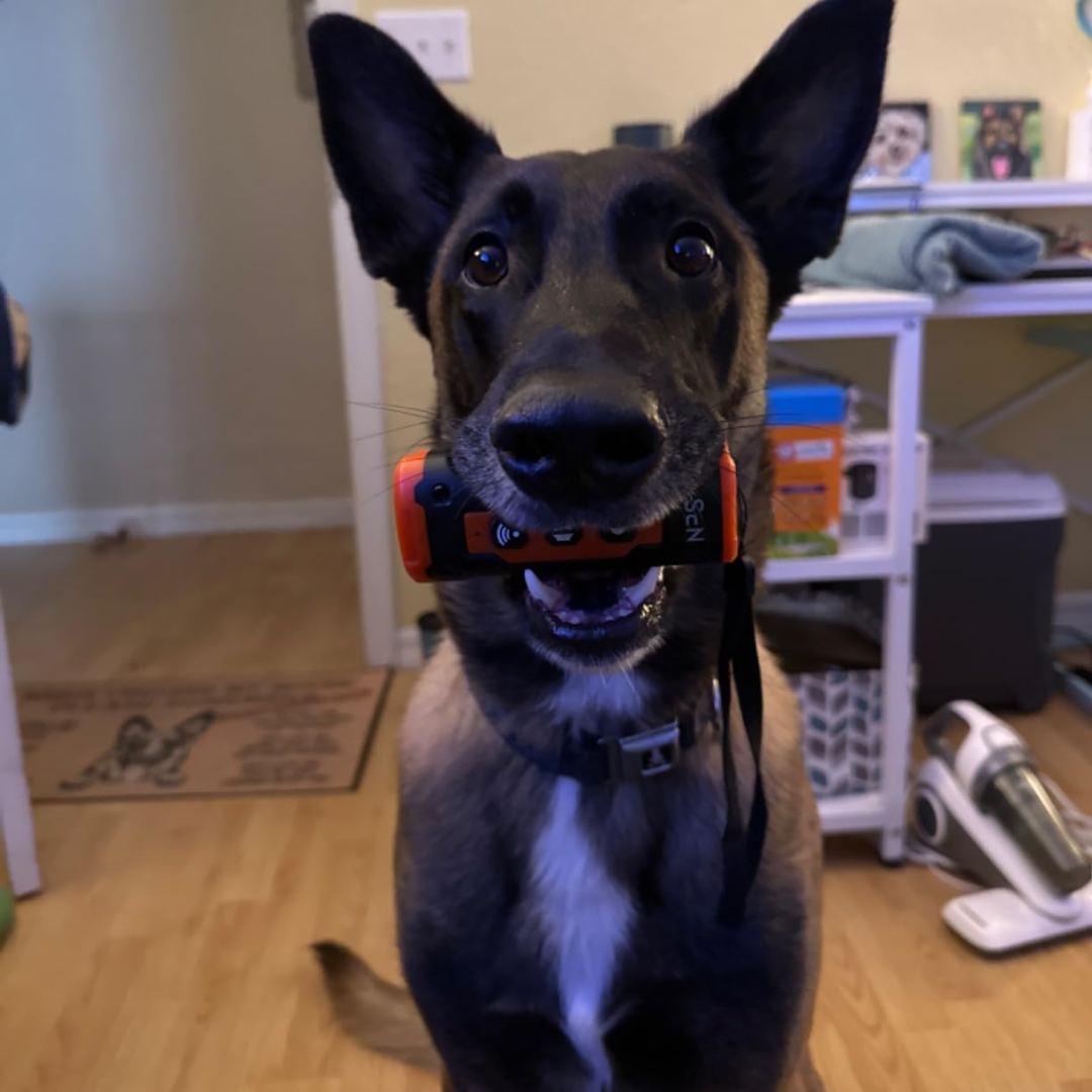 BarkCalm Pro™ - Anti-Bark Ultrasonic Training Device