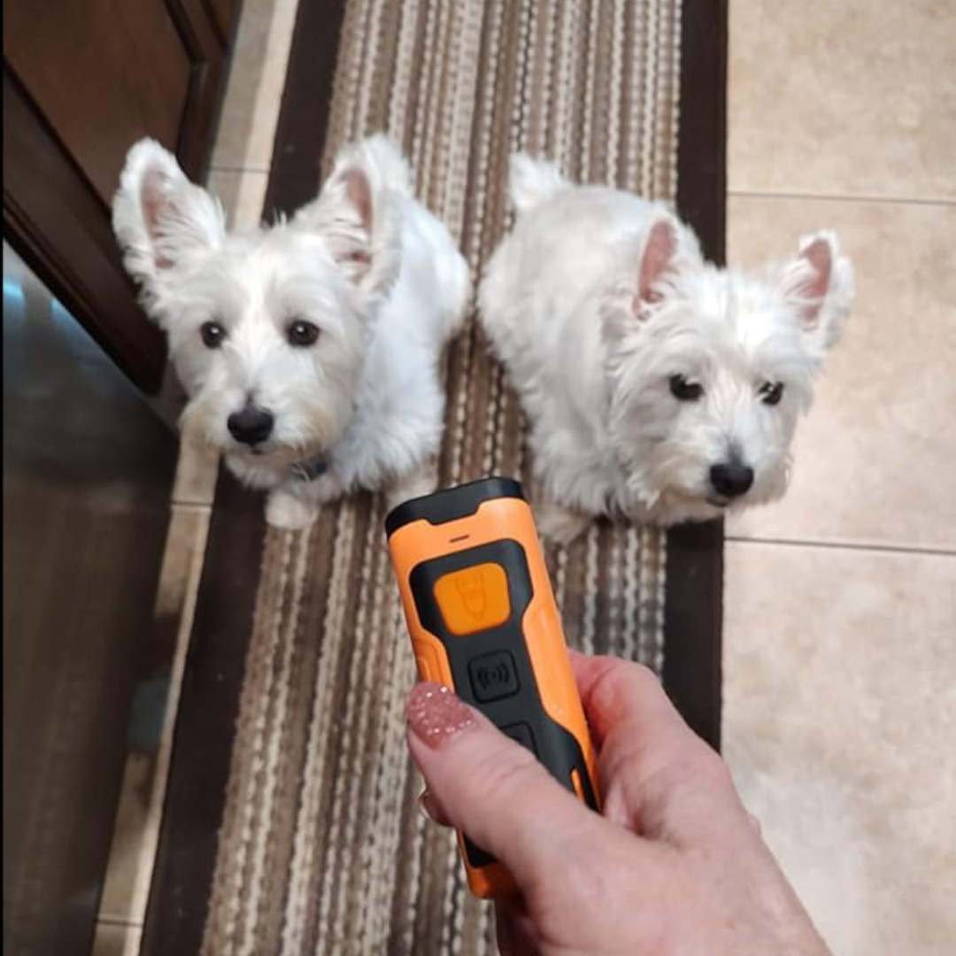 BarkCalm Pro™ - Anti-Bark Ultrasonic Training Device