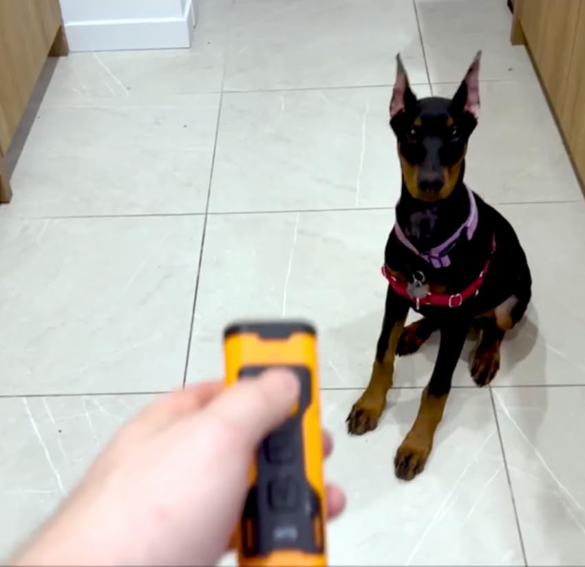 BarkCalm Pro™ - Anti-Bark Ultrasonic Training Device